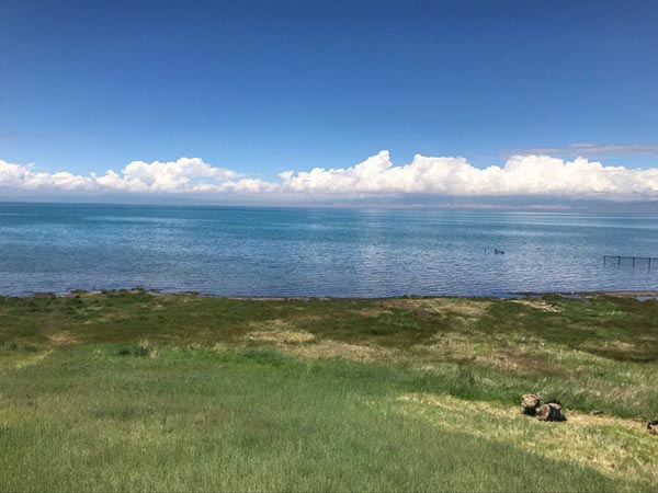 Construcción de equipos - poste de la cerca del lago Qinghai, cerca, malla de alambre